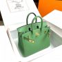 Hermes Birkin 25 in Swift Leather 