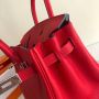 Hermes Birkin 25 /30 / 35 in Togo Leather 