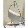 Dior Saddle Bag with strap 