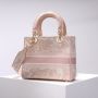 Christian Dior Medium D-Lite Bag 