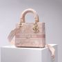 Christian Dior Medium D-Lite Bag 