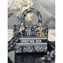 Christian Dior Medium D-Lite Bag 