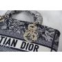 Christian Dior Large D-Lite Bag 