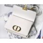 Christian Dior 30 Montaigne Bag 